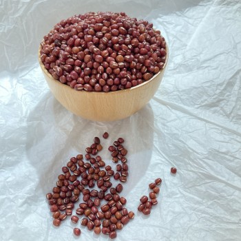 天津紅豆