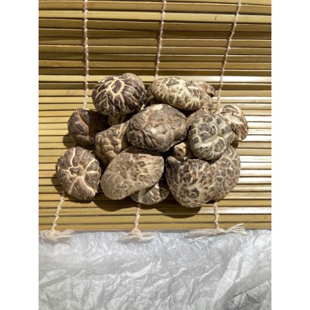 日本厚中玉冬瓜