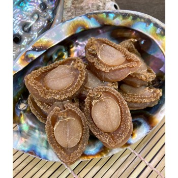 日本網鮑 (11頭)