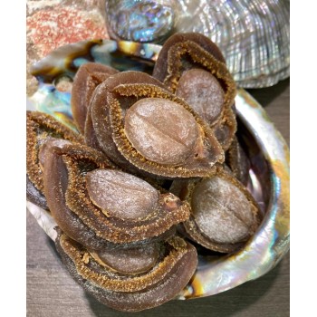 南非吉品鮑魚(24-25頭)