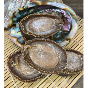 日本網鮑魚(16頭)